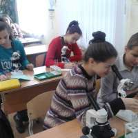 Работа «сетевых» предметных лабораторий.